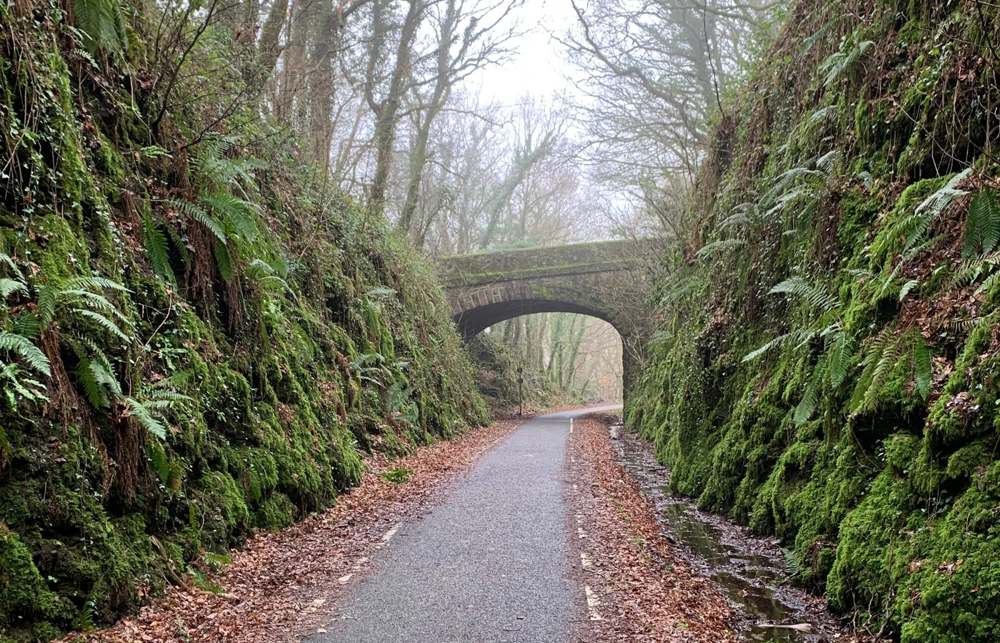 A woodland path leading beneath a stone bridge.
