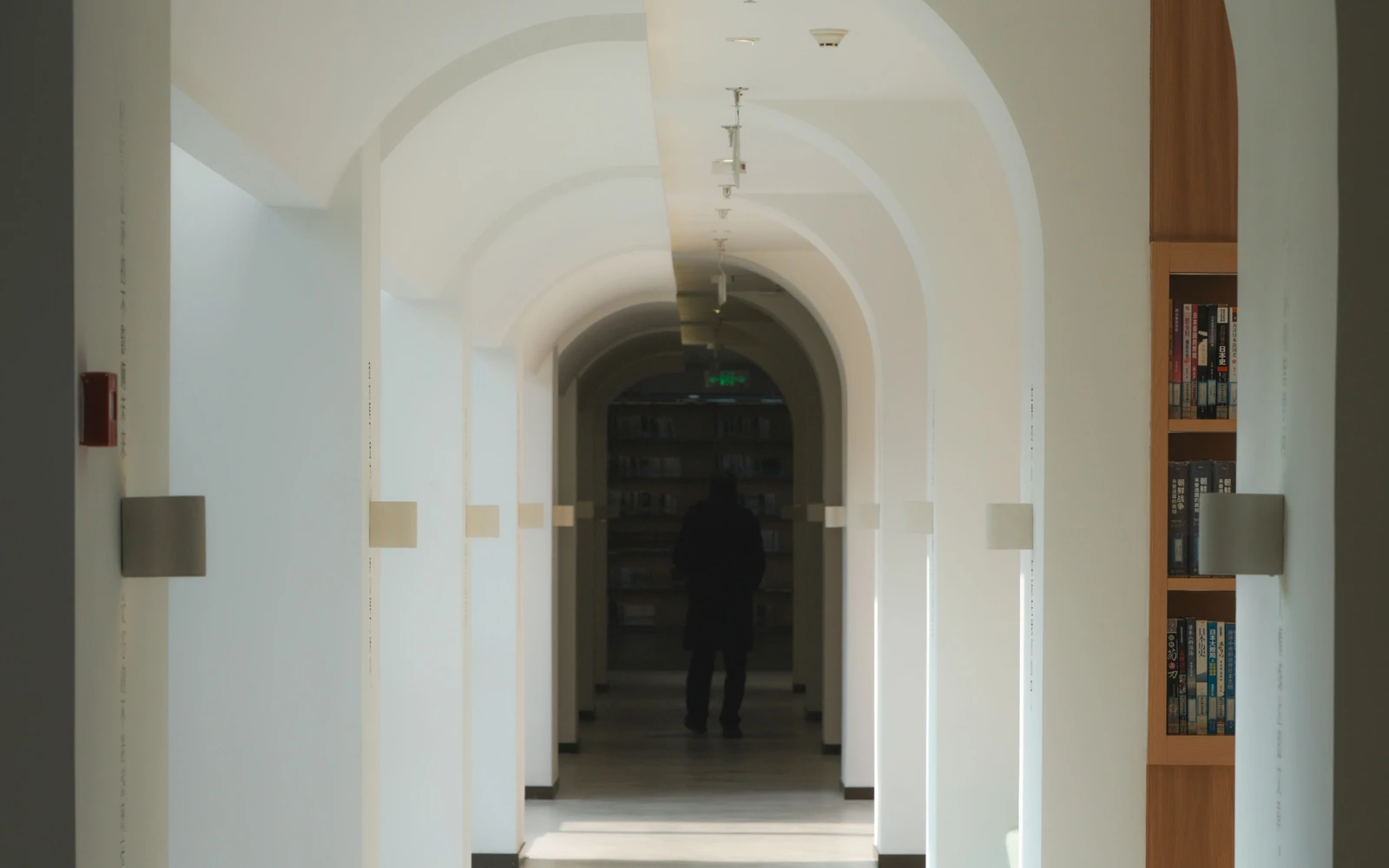 Natural light along an arched library corridor with bookshelves.